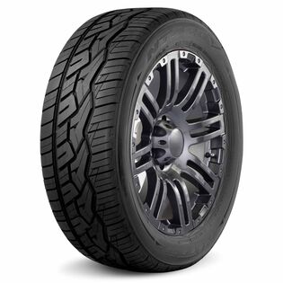 Performance Tire Nitto NT420V - angle