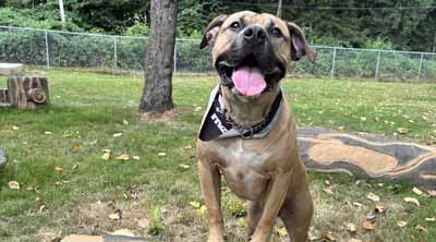 2025 Kal&rsquo;s RePlay Highlights