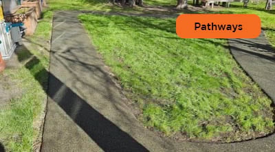 Poured recycled rubber pathways with grass and trees in the background.