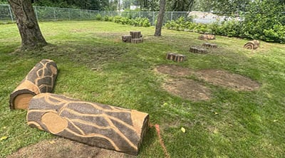 SPCA training logs - RePlay Fund