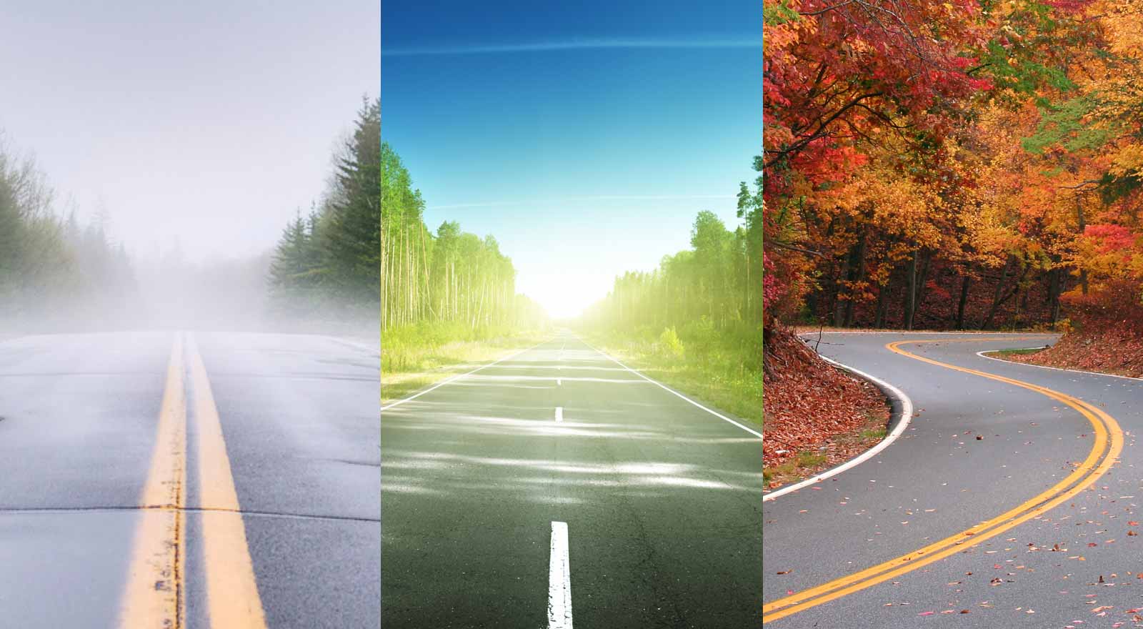 3 Seasons